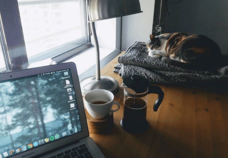 arbejd med katten